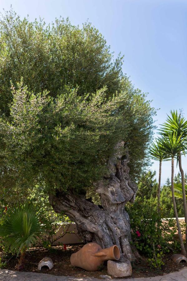 Villa Ca Na Vinya カラ・タリダ エクステリア 写真
